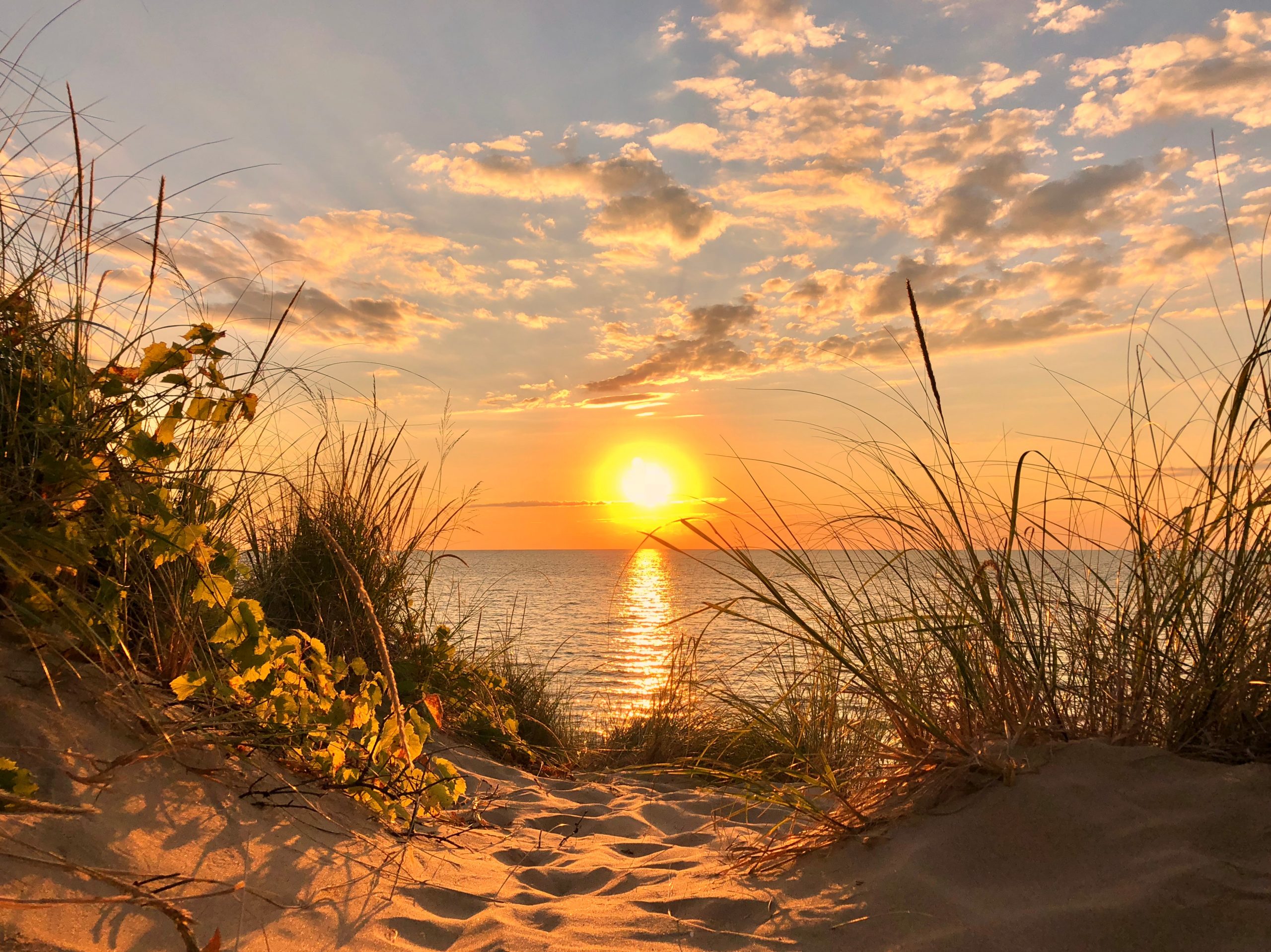 Best Michigan Beaches