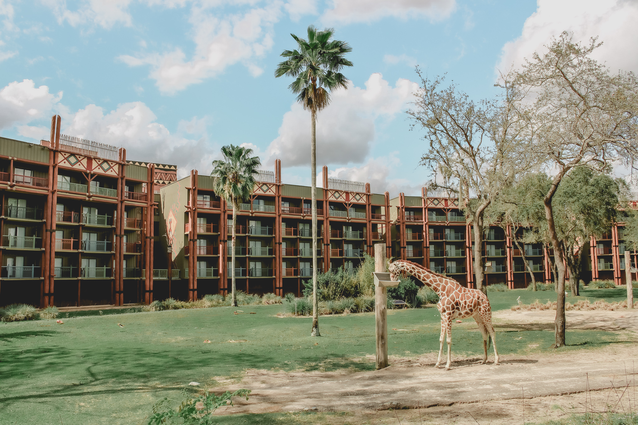 Escape to the Heart of Africa: Disney’s Animal Kingdom Lodge